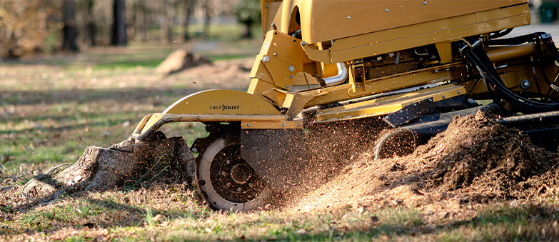 Tree stump removel